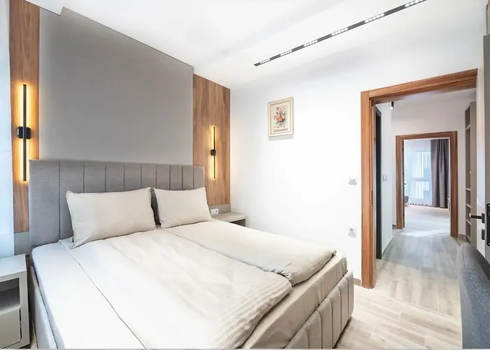 сенатор Self Check-in